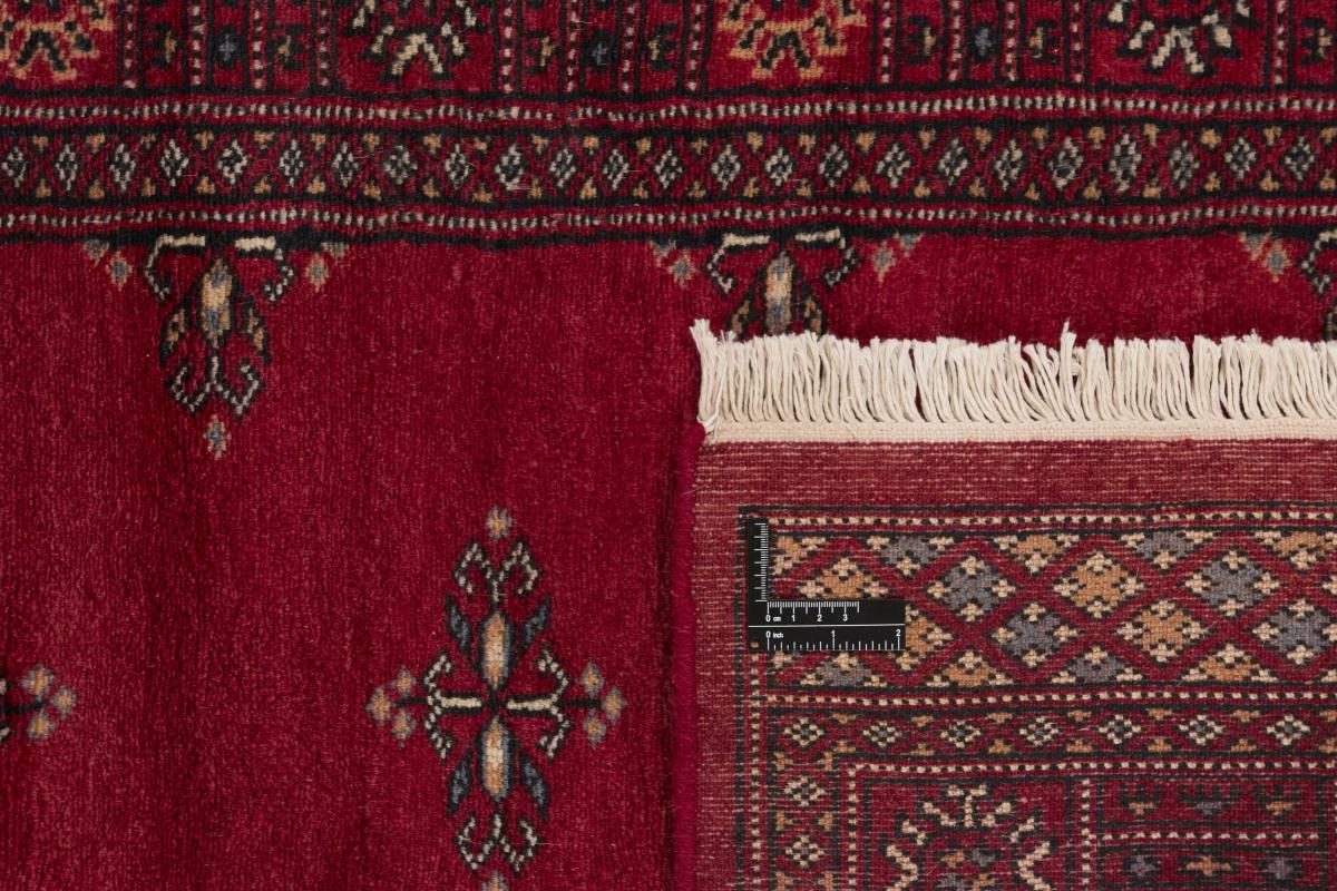 Pakistan Buchara 2ply - 1