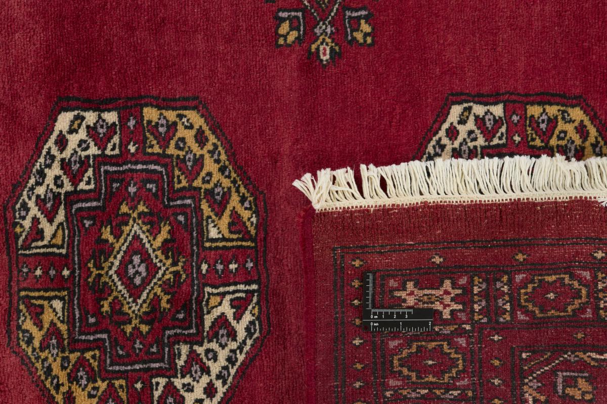 Pakistan Buchara 3ply - 1