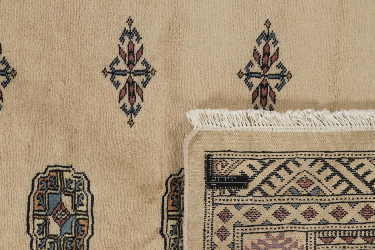 Pakistan Buchara 3ply - 1