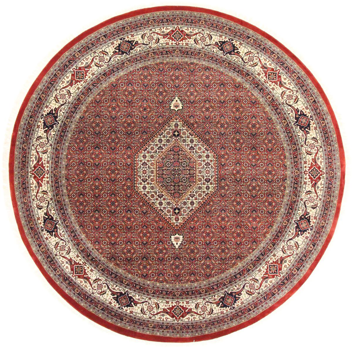 Indisk tæppe Indo Bidjar 254x254 254x254, Persisk tæppe Knyttet i hånden