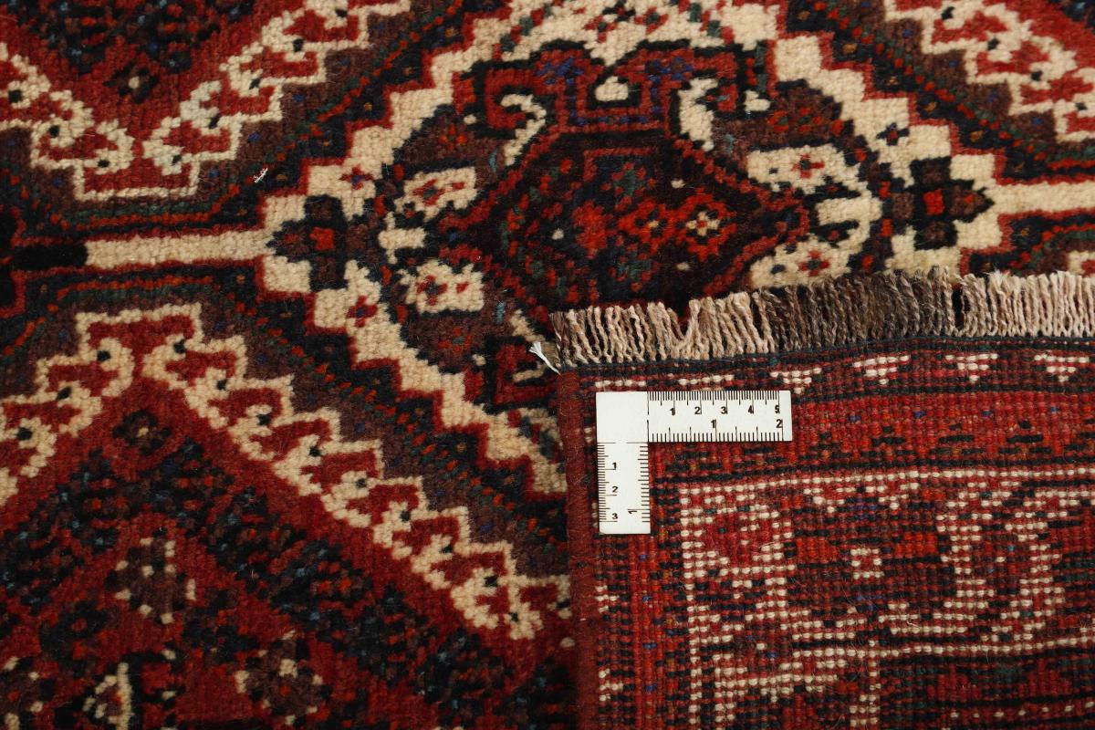 Shiraz - 1