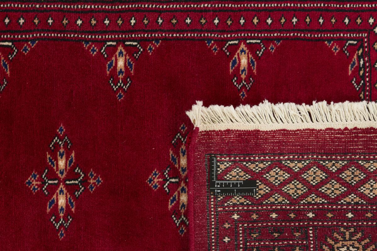 Pakistan Buchara 3ply - 1