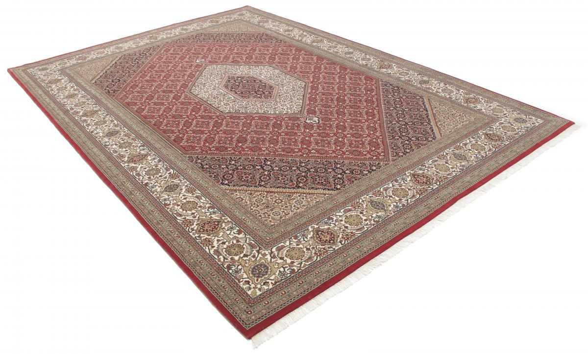 Indo Bidjar Royal - 1