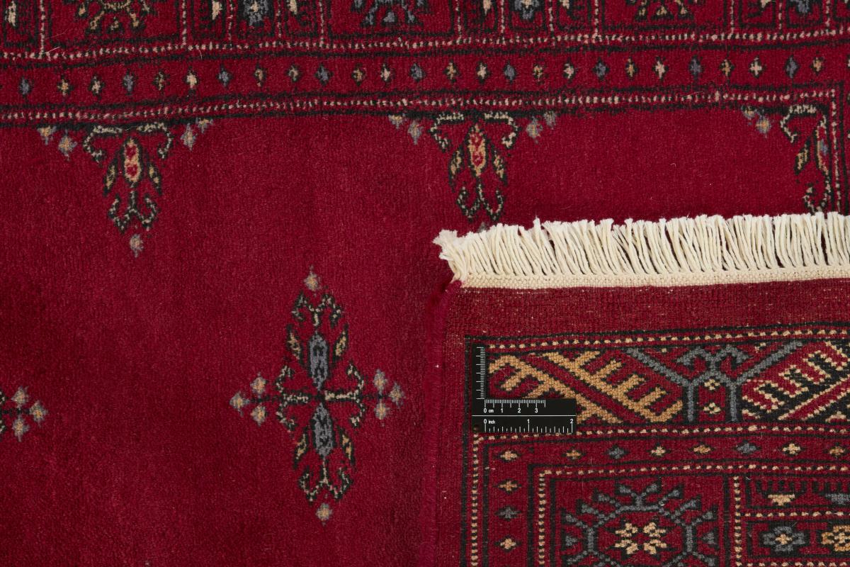 Pakistan Buchara 3ply - 1