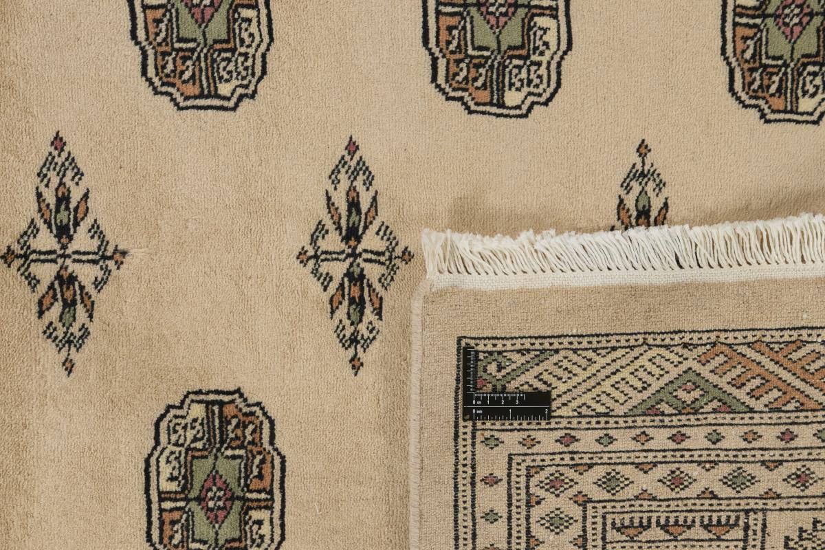 Pakistan Buchara 3ply - 1