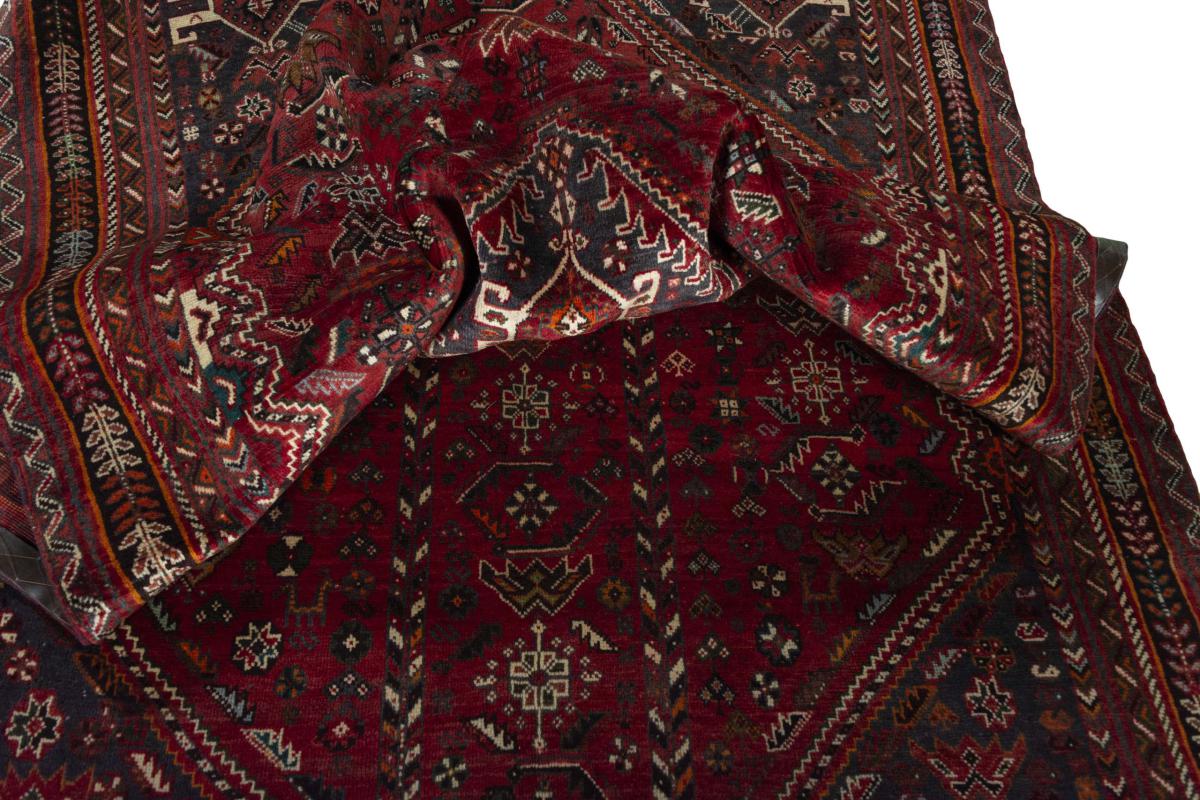 Shiraz - 1
