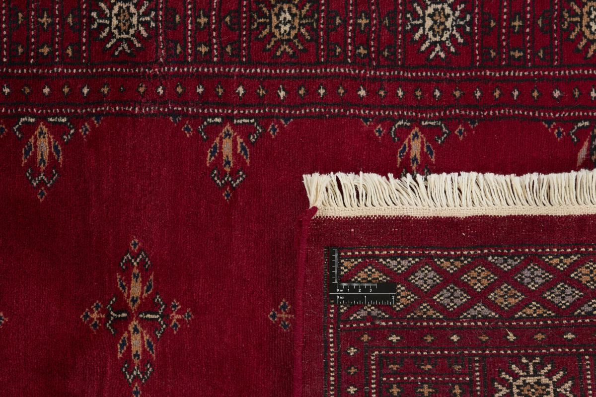 Pakistan Buchara 3ply - 1