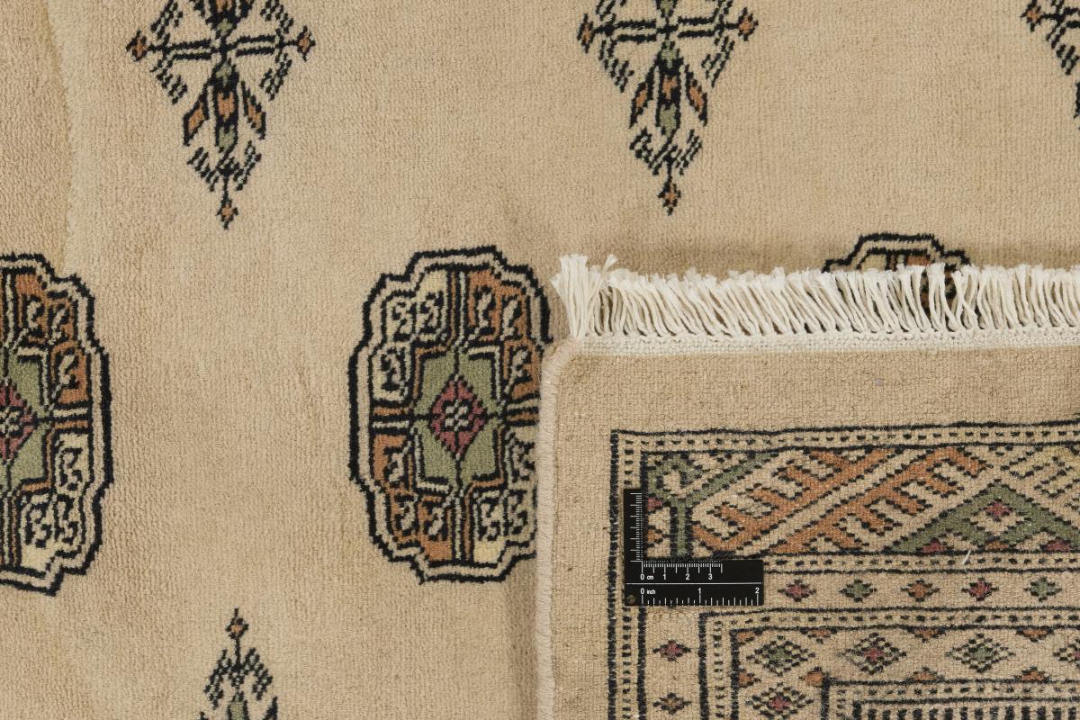 Pakistan Buchara 3ply - 1