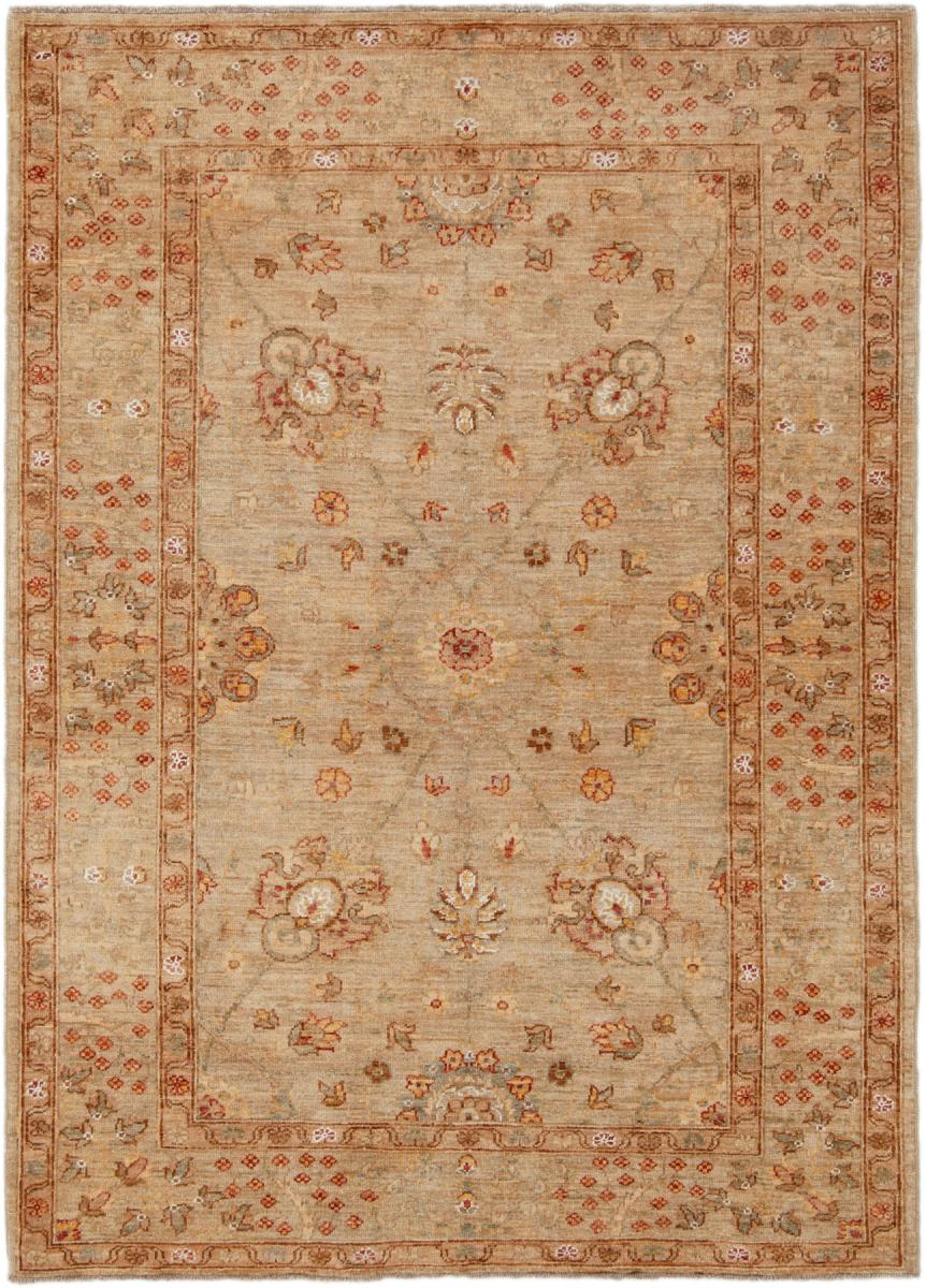 Pakistanilainen matto Arijana Ziegler Farahan 167x119 167x119, Persialainen matto Solmittu käsin