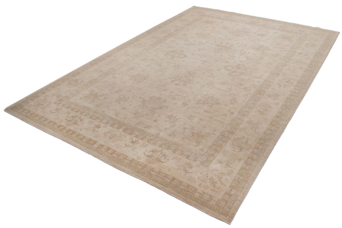 Ziegler Farahan - 1