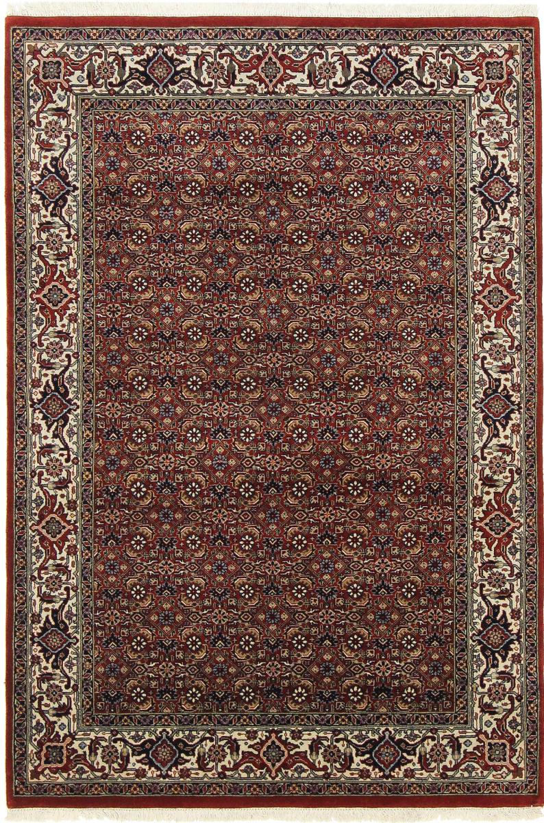 Indo rug Indo Bidjar Super 5'11"x4'2" 5'11"x4'2", Persian Rug Knotted by hand
