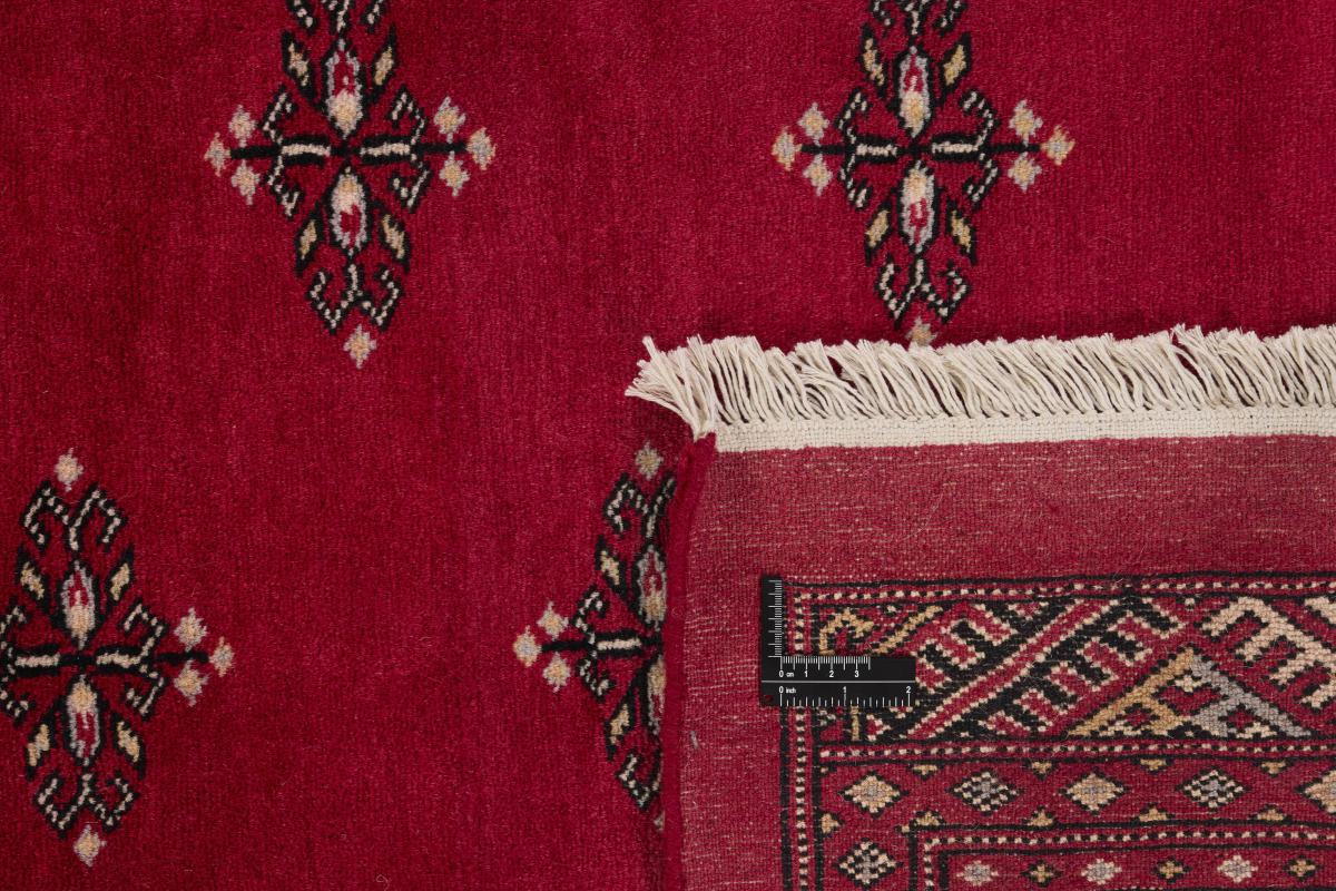 Pakistan Buchara 2ply - 1