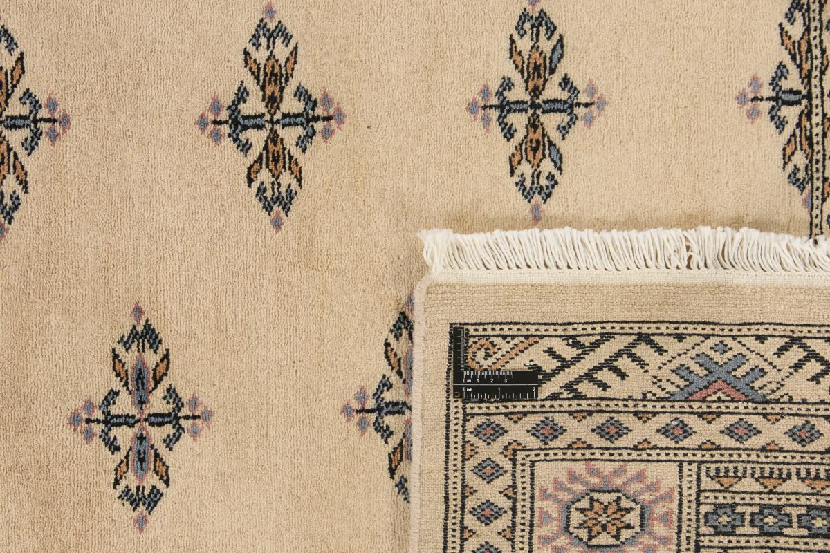 Pakistan Buchara 3ply - 1