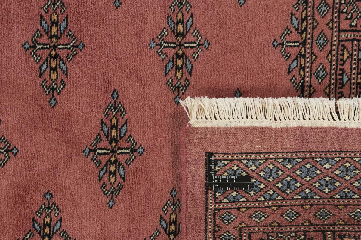 Pakistan Buchara 3ply - 1