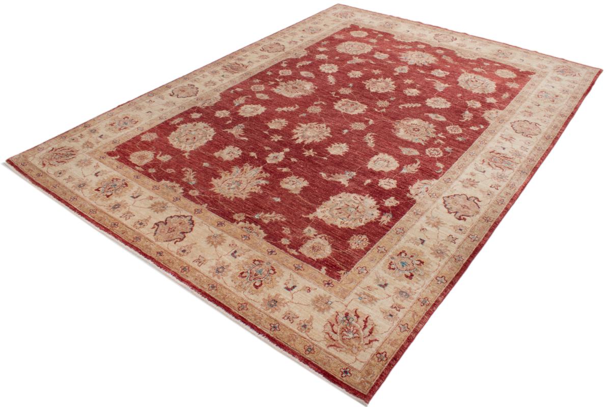 Ziegler Farahan - 1