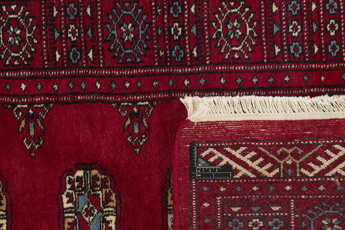 Pakistan Buchara 3ply - 1