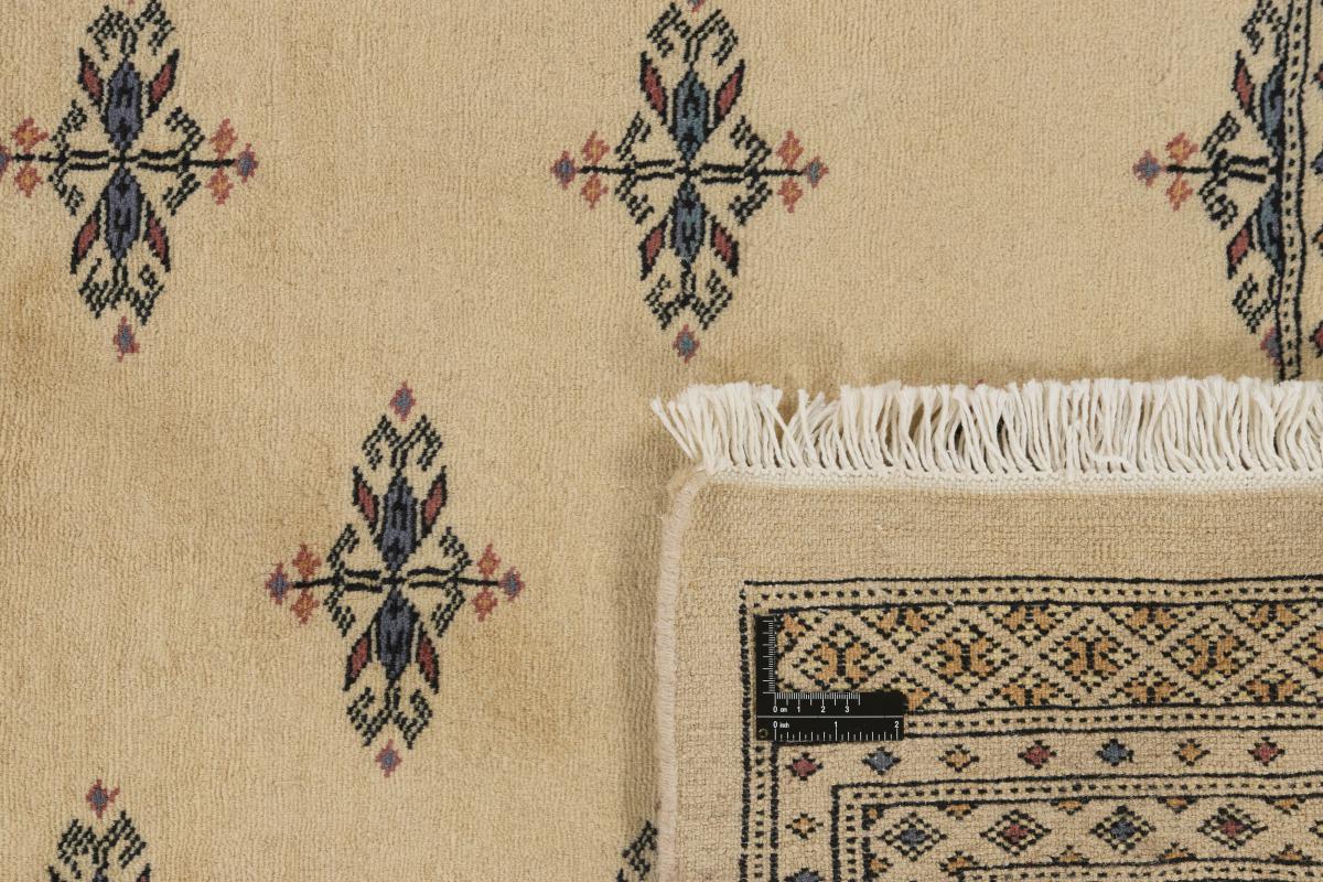 Pakistan Buchara 3ply - 1