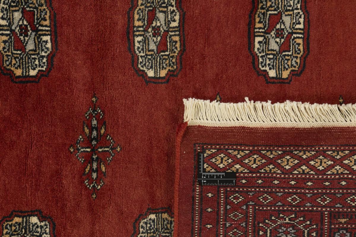 Pakistan Buchara 3ply - 1