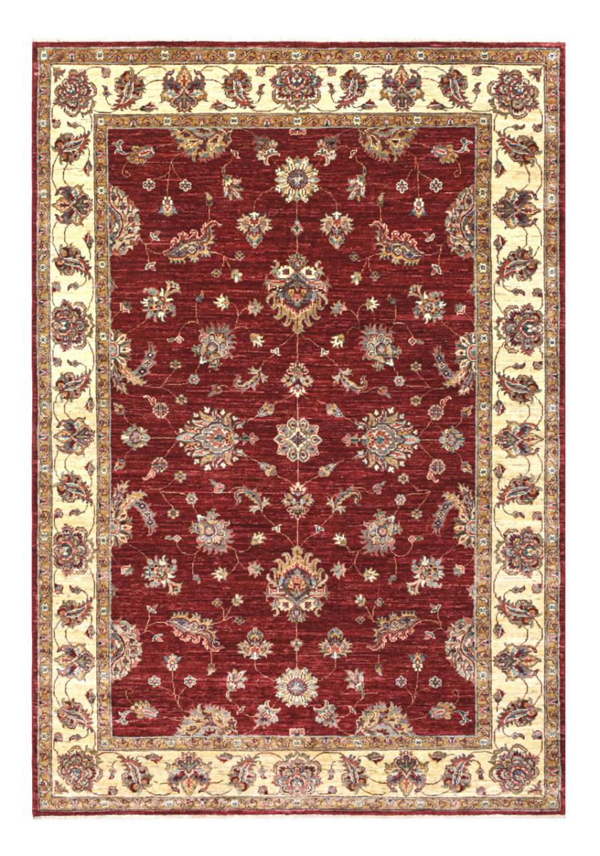 Afghaans tapijt Ziegler Farahan Arijana 244x170 244x170, Perzisch tapijt Handgeknoopte