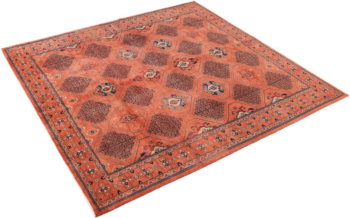 Περσία Γκάμπεθ Loribaft Z - 1