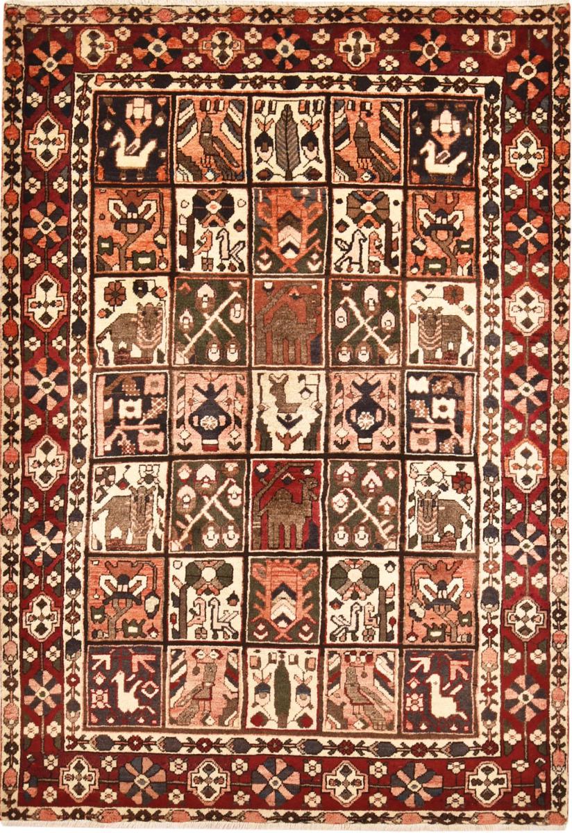 Perserteppich Bakhtiar 209x147 209x147, Perserteppich Handgeknüpft