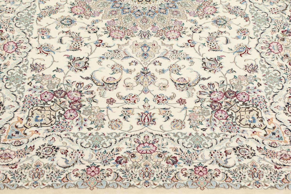 ナイン 6La Sherkat - 1