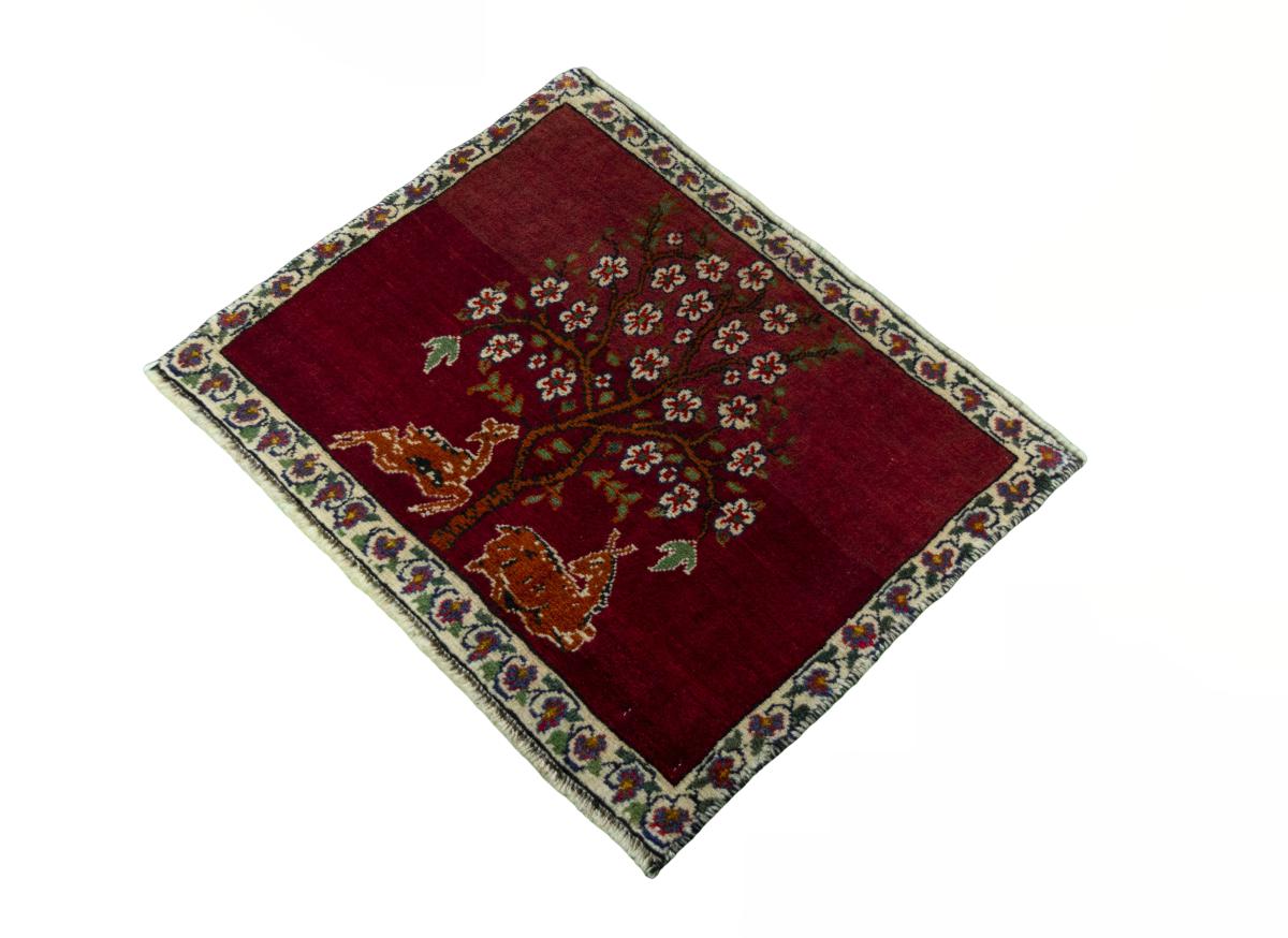 Shiraz - 1