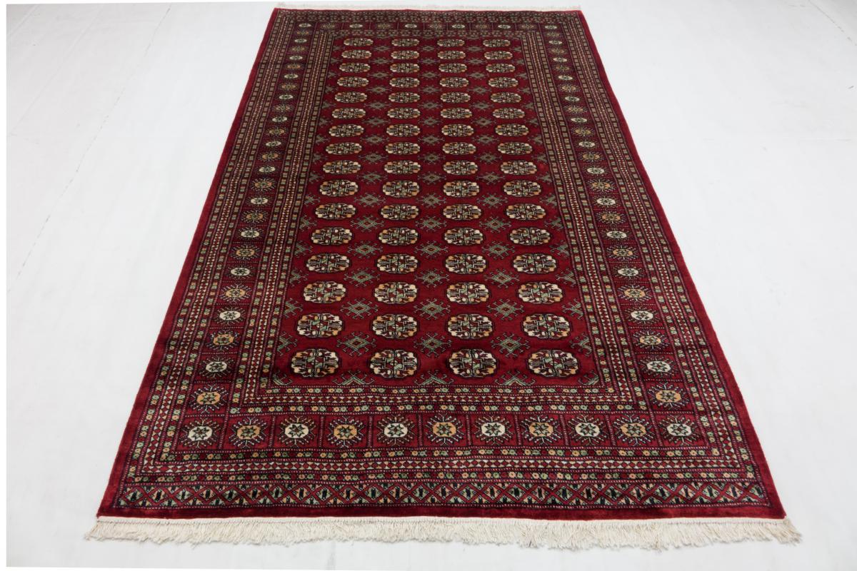 Pakistan Buchara 3ply - 1