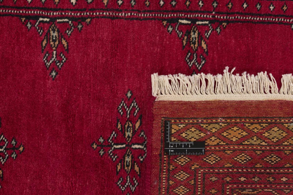 Pakistan Buchara 2ply - 1