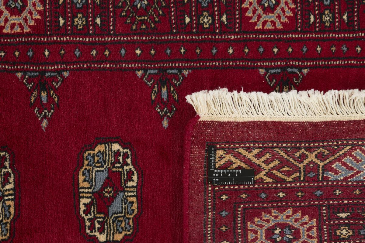 Pakistan Buchara 3ply - 1