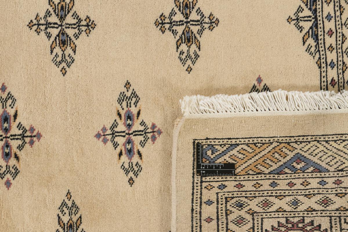 Pakistan Buchara 3ply - 1