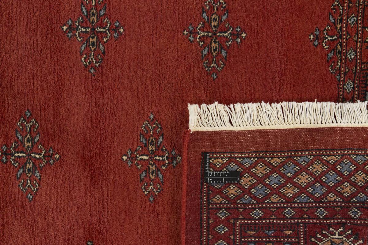 Pakistan Buchara 3ply - 1