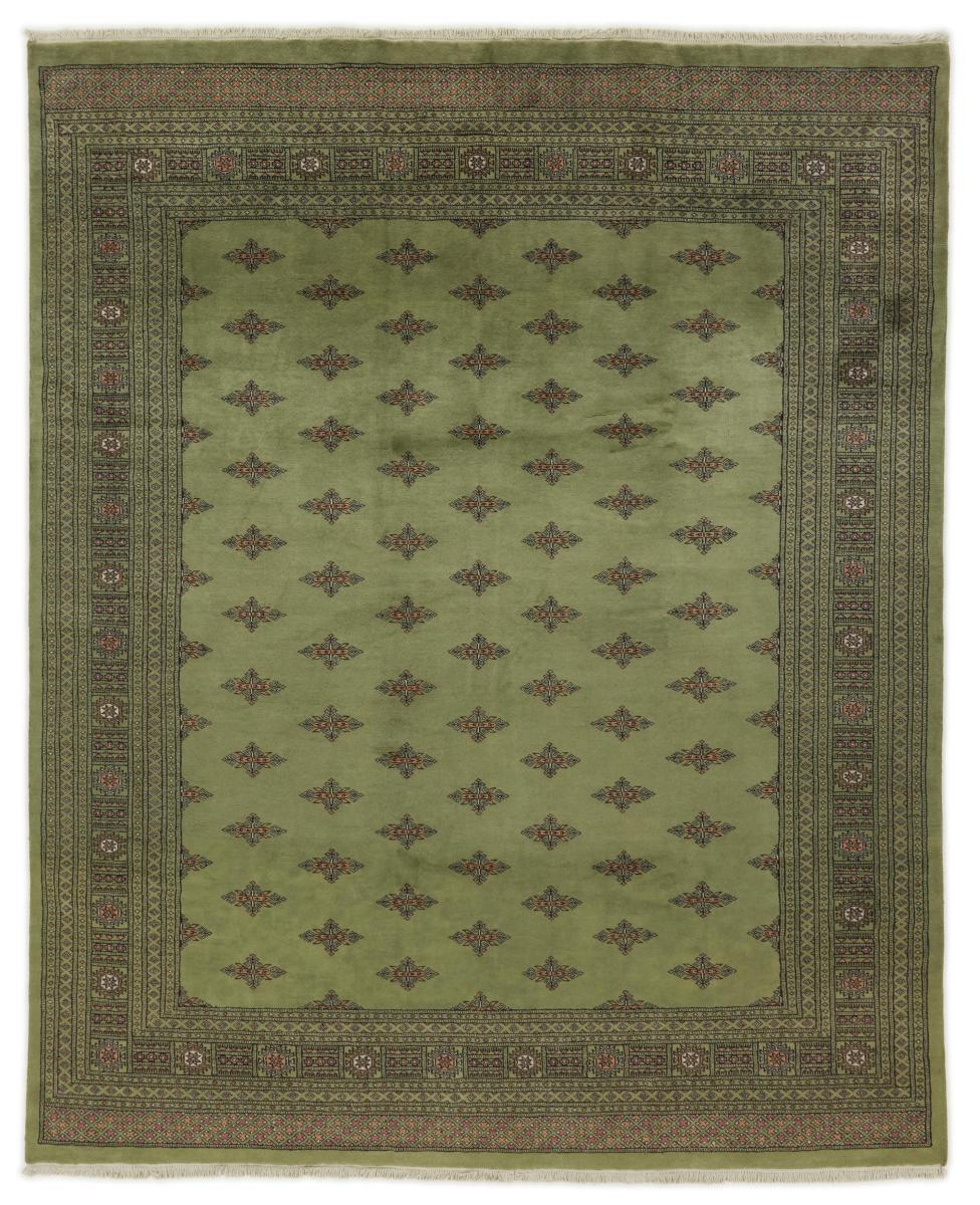 Alfombra pakistaní Pakistan Buchara 2ply 301x241 301x241, Alfombra persa Anudado a mano