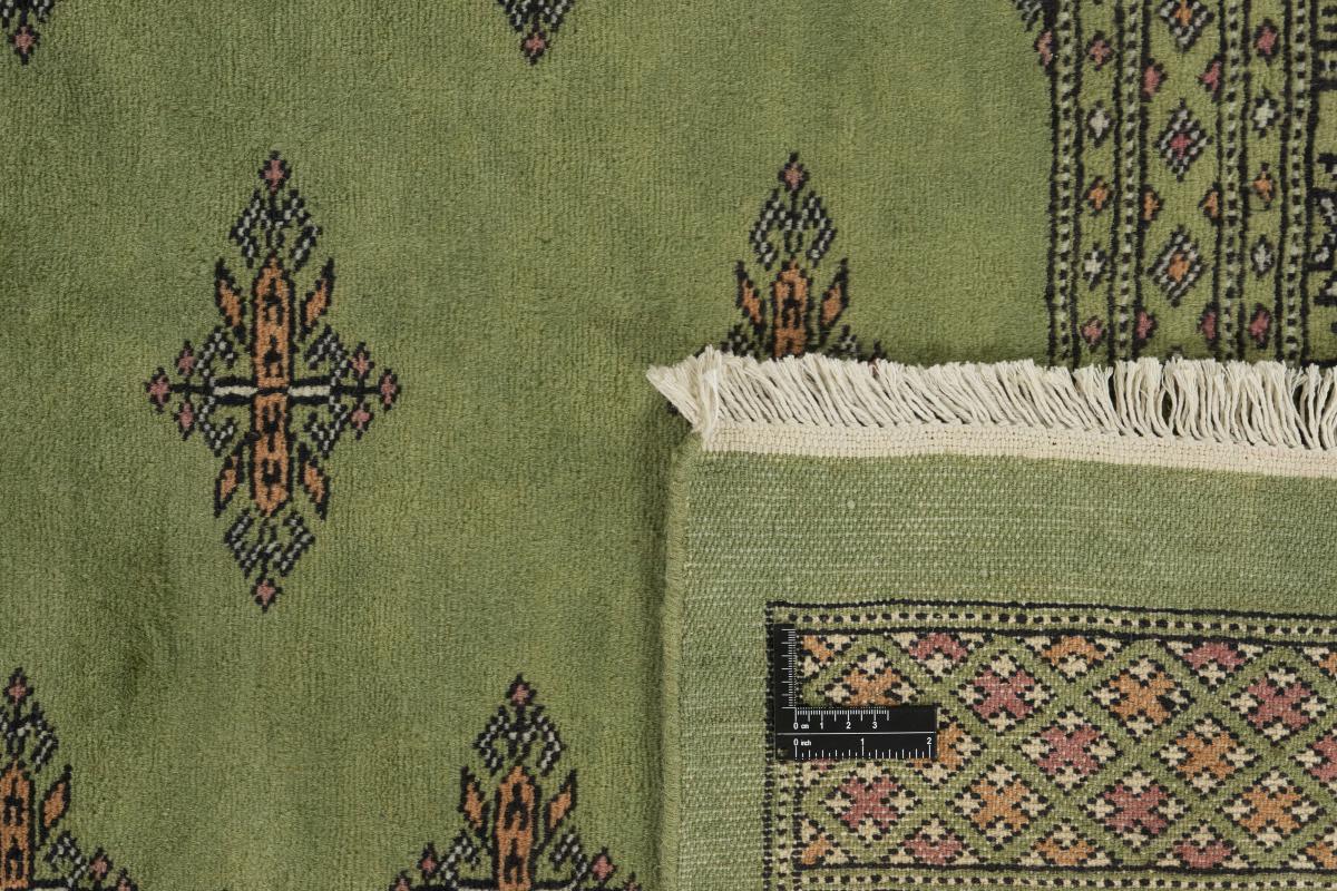 Pakistan Buchara 2ply - 1