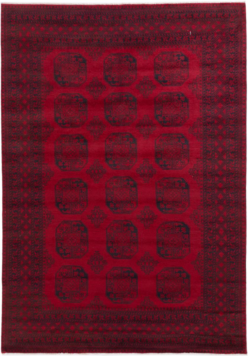 Afghan rug Afghan Akhche 9'7"x6'9" 9'7"x6'9", Persian Rug Knotted by hand