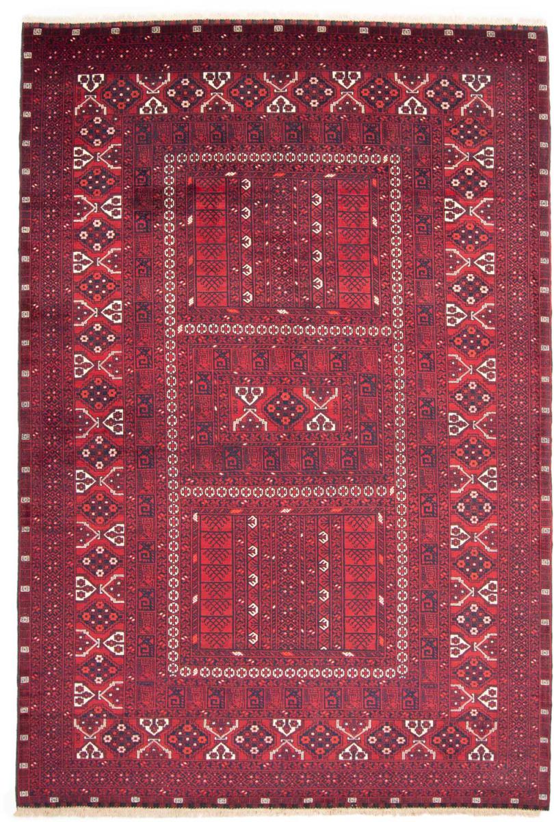 Afghansk matta Afghan Mauri 251x161 251x161, Persisk matta Handknuten