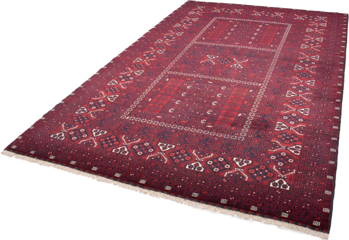 Afghan Mauri - 1
