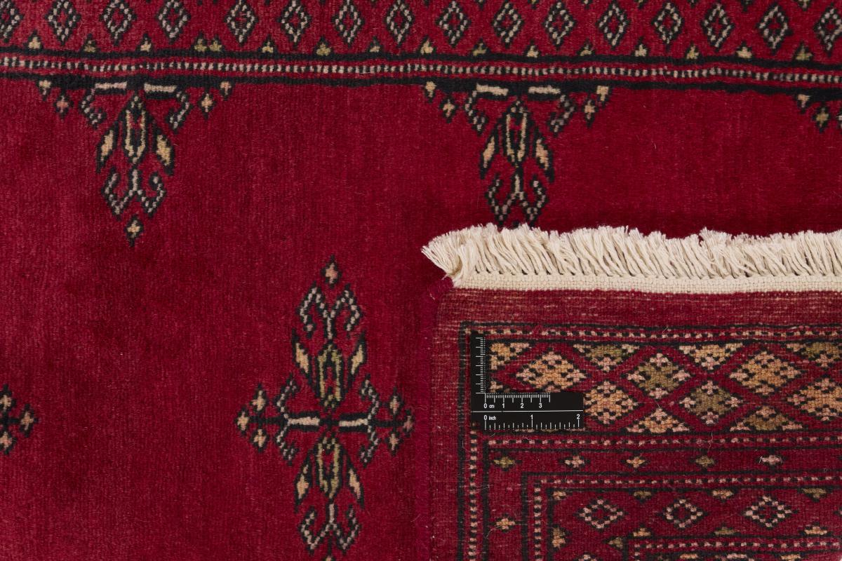 Pakistan Buchara 2ply - 1