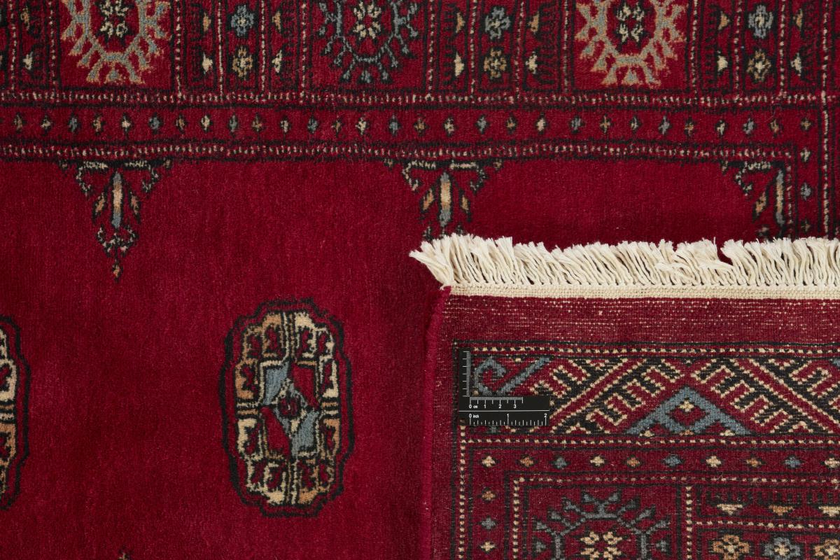 Pakistan Buchara 3ply - 1