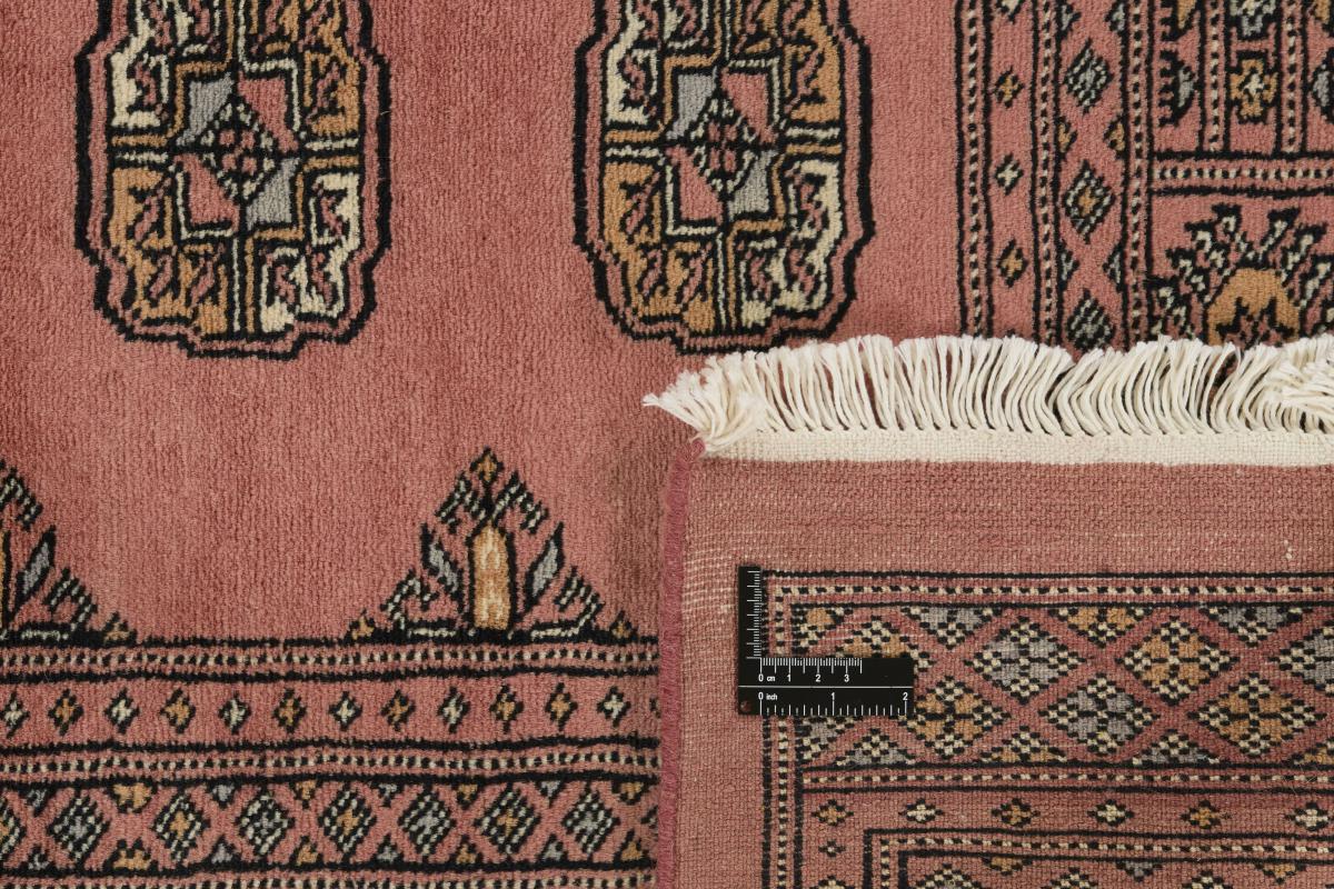 Pakistan Buchara 3ply - 1