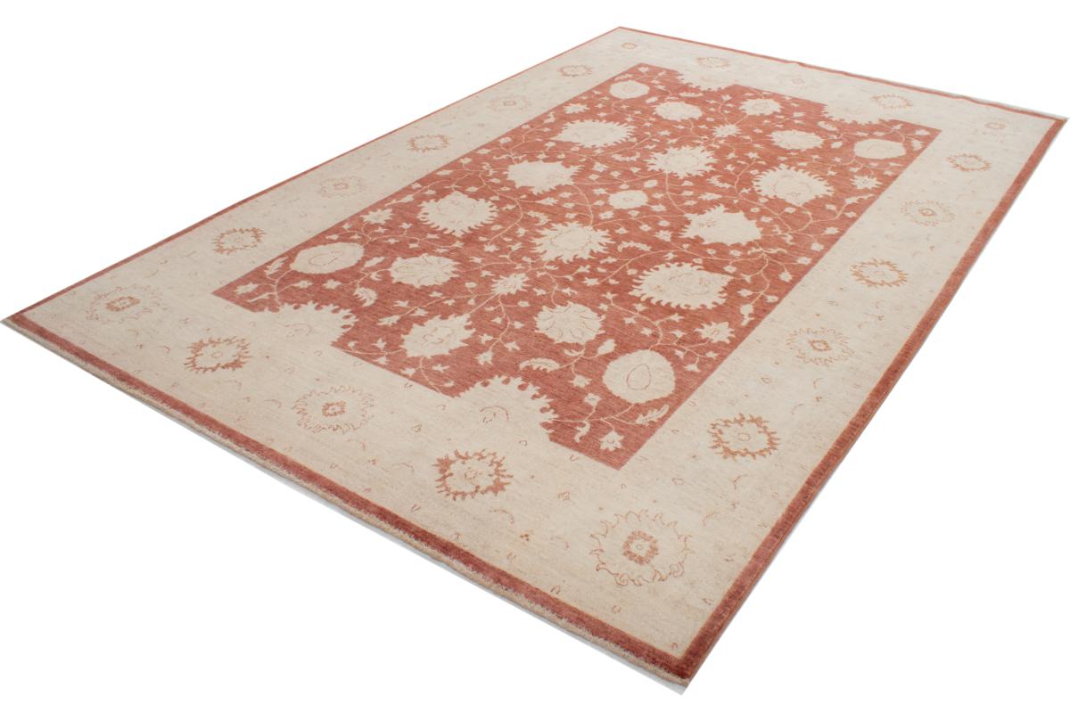 Ziegler Farahan - 1