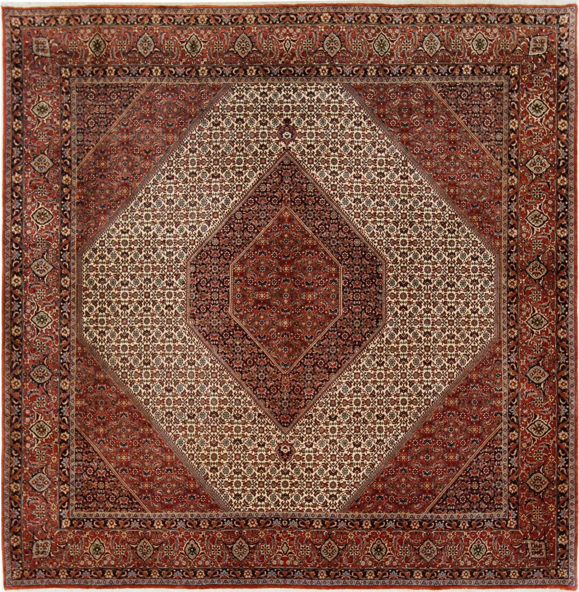 Persisk tæppe Bidjar 258x253 258x253, Persisk tæppe Knyttet i hånden