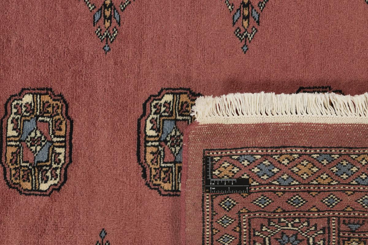Pakistan Buchara 3ply - 1