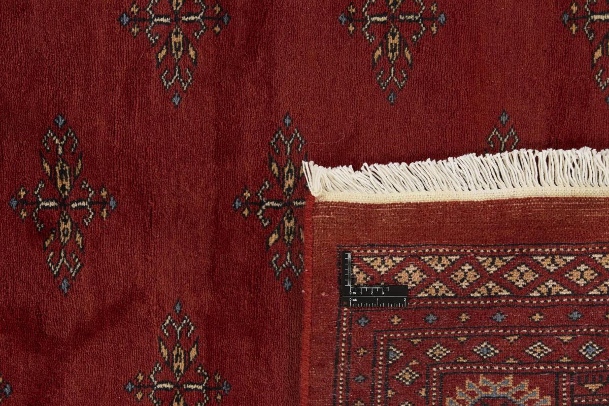 Pakistan Buchara 3ply - 1