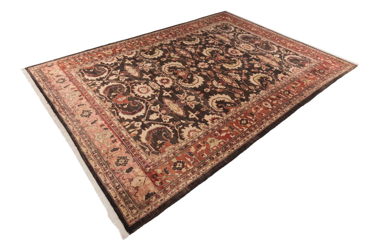 Ziegler Farahan - 1