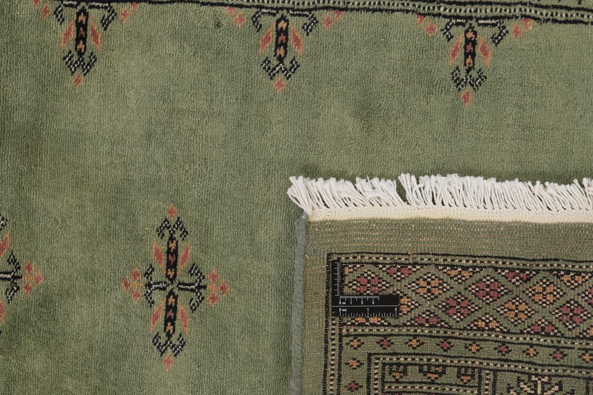 Pakistan Buchara 3ply - 1