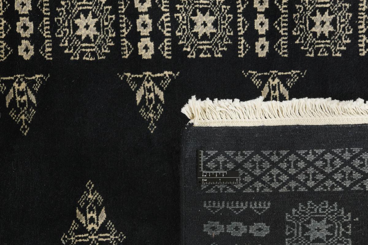 Pakistan Buchara 3ply - 1