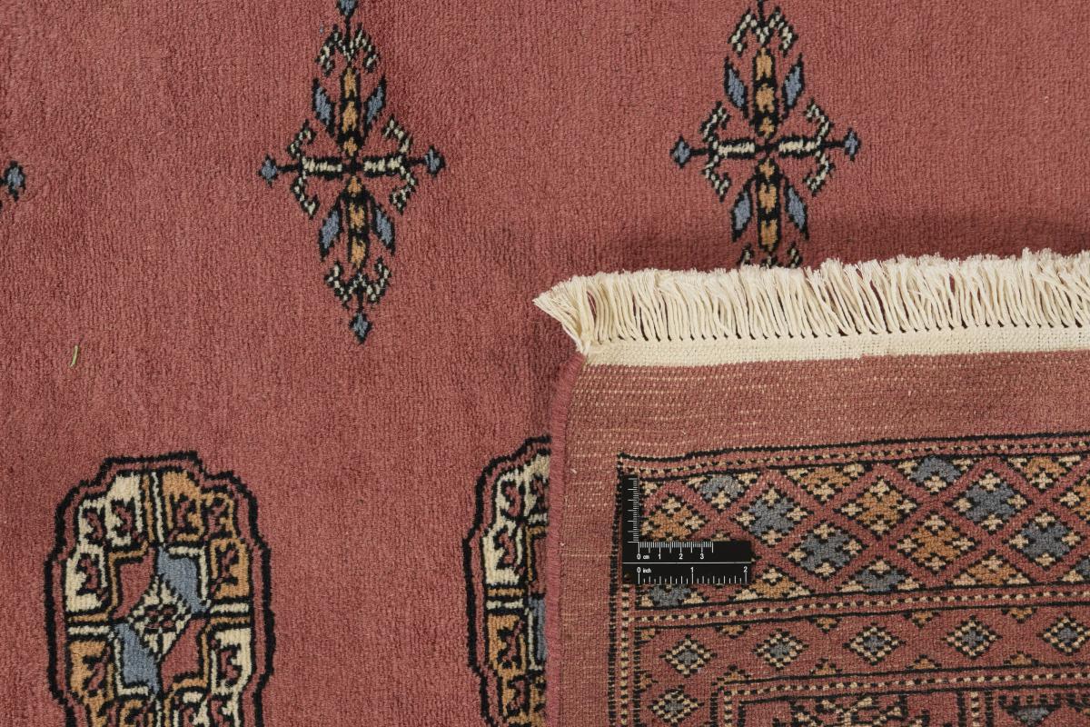 Pakistan Buchara 3ply - 1