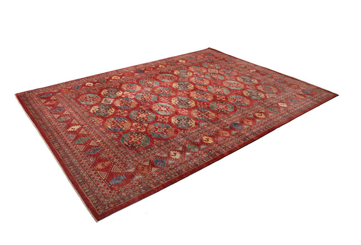 Arijana Ziegler Farahan - 1