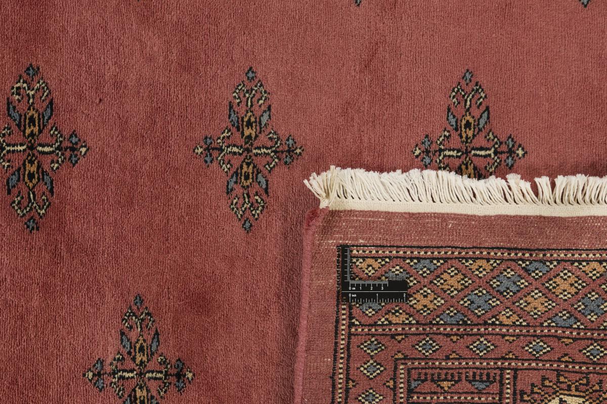 Pakistan Buchara 3ply - 1